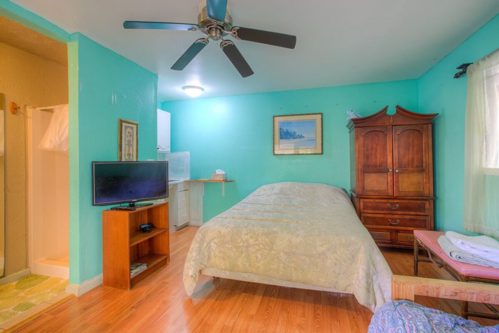 JungleFairySuite